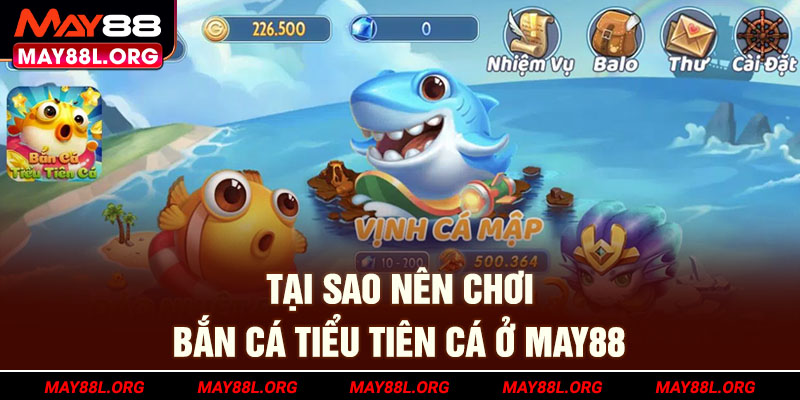 tai-sao-nen-choi-ban-ca-tieu-tien-ca-o-may88l-org