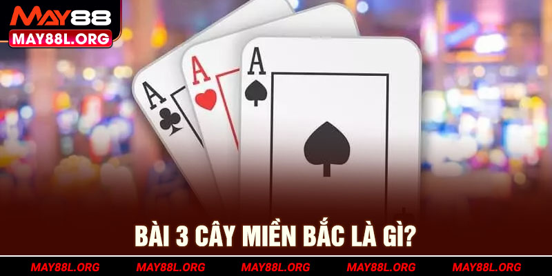 bai-3-cay-mien-bac-la-gi-may88l-org