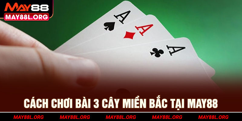 cach-choi-bai-3-cay-mien-bac-tai-may88l-org