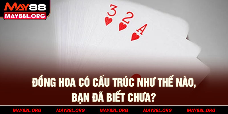 dong-hoa-co-cau-truc-nhu-the-nao,-ban-da-biet-chua-may88l-org