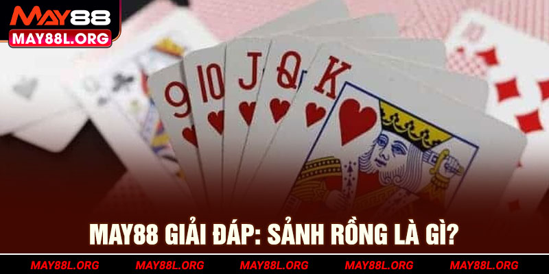 may88l-org-giai-dap-sanh-rong-la-gi