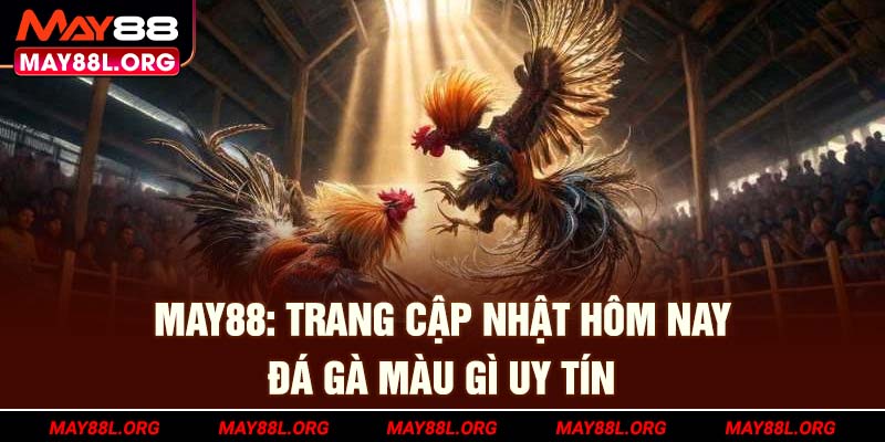 may88l-org-trang-cap-nhat-hom-nay-da-ga-mau-gi-uy-tin