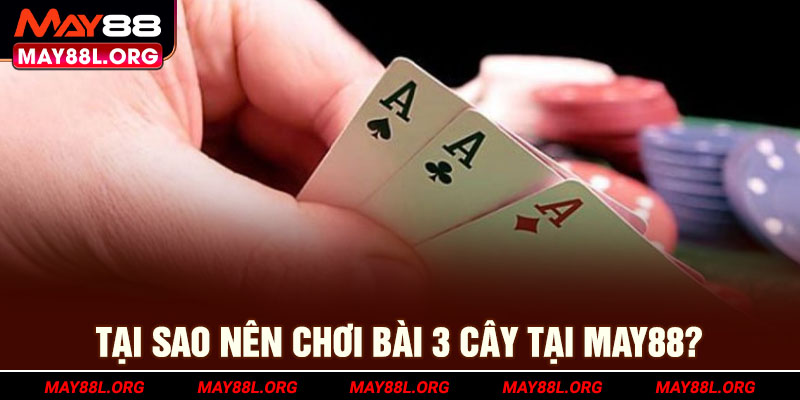 tai-sao-nen-choi-bai-3-cay-tai-may88l-org