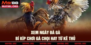 -xem-ngay-da-ga-bi-kip-choi-ga-choi-hay-tu-ke-thu-may88l-org