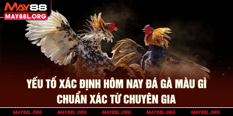 yeu-to-xac-dinh-hom-nay-da-ga-mau-gi-chuan-xac-tu-chuyen-gia-may88l-org
